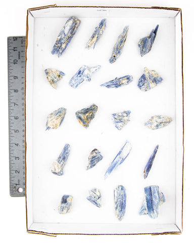 Blue Kyanite Specimens - 20 pcs (#226305)