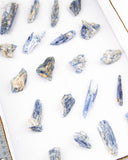 Blue Kyanite Specimens - 20 pcs (#226305)