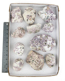 Lepidolite Tourmaline Specimens - 11 pcs (#225796)