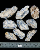 Kyanite in Quartz Matrix - 9 pcs (#225152)