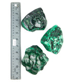 Malachite Free Forms - 3 pcs (#226660)