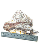 Mexican Sardonyx Slice - 2.35 lb (#226693)