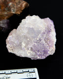 Morrocan Fluorite Specimens - 3 pcs  (#225647)