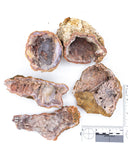 Moroccan Amethyst Specimens  - 5 pcs / 2.17 lb (#225110)