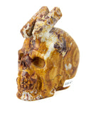 Alpha Skull "N" - Calcite - 2.25 lb (#225479)