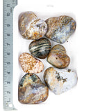 Ocean Jasper Hearts - 7 pcs (#255729)