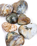 Ocean Jasper Hearts - 7 pcs (#255729)