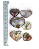 Ocean Jasper Hearts - 6 pcs (#255730)