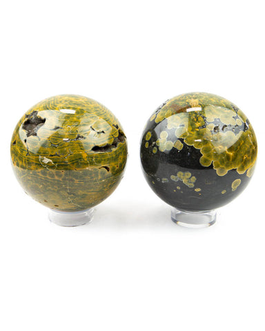 Ocean Jasper Spheres - 2 pcs (#226290)