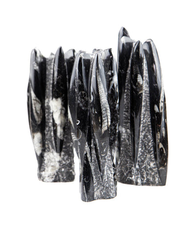Orthoceras Sculpture