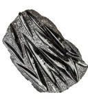Large Orthoceras on Rock