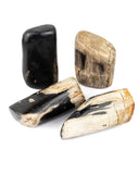 Petrified Wood Free Forms - 4 pcs (#226017)