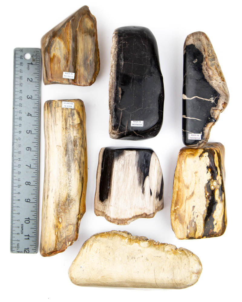 Petrified Wood Semi-Polished  - 7 pcs (#226288)