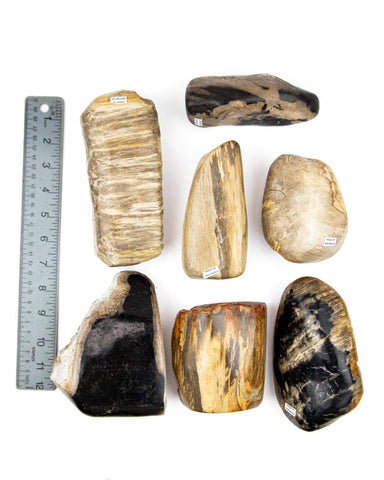 Petrified Wood Semi-Polished  - 7 pcs (#226289)