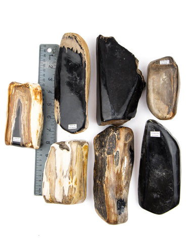 Petrified Wood Semi-Polished  - 7 pcs (#226287)