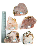 Pink Amethyst Cut Base - 5 pcs (#226682)