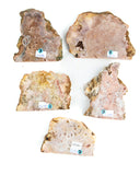 Pink Amethyst Cut Base - 5 pcs (#226683)