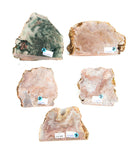 Pink Amethyst Cut Base - 5 pcs (#226684)