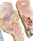Pink Amethyst Slices - 2 pcs (#226681)