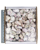 Rough Pink Tourmaline - 5 kg (#225800)