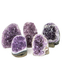 Polished Cut Base Amethyst Druzy - 5 pcs  (#226118)