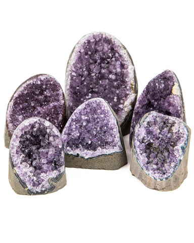 Polished Cut Base Amethyst Druzy - 6 pcs (#226119)