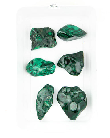 Polished Malachite - 6 pcs (#226199)