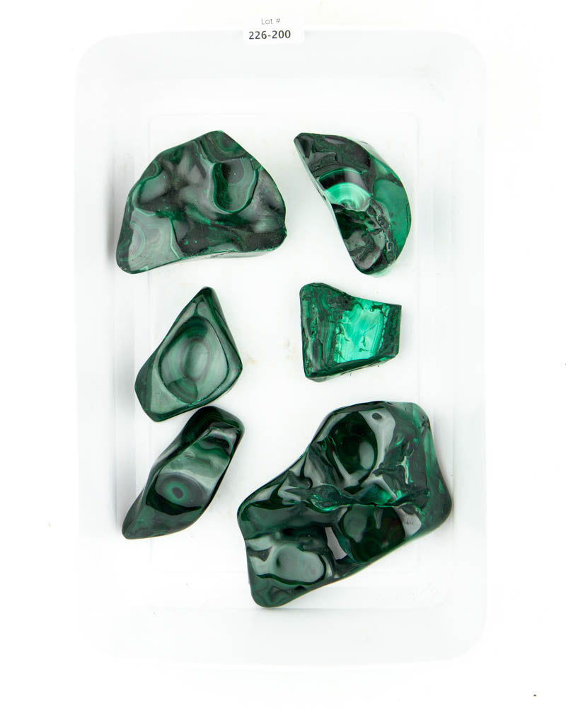 Polished Malachite - 6 pcs (#226200)