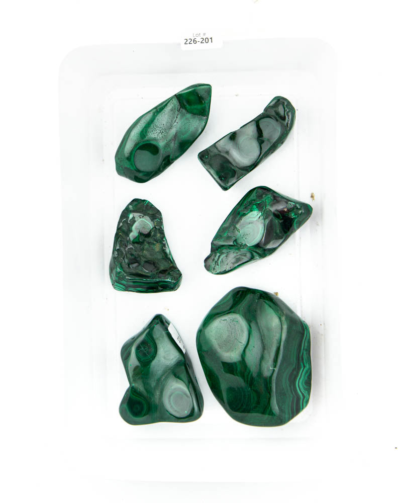 Polished Malachite - 6 pcs (#226201)