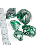 Polished Malachite Free Forms - 5 pcs (#226560)