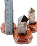 Polished Smoky Quartz on Base - 3 pcs (#226342)