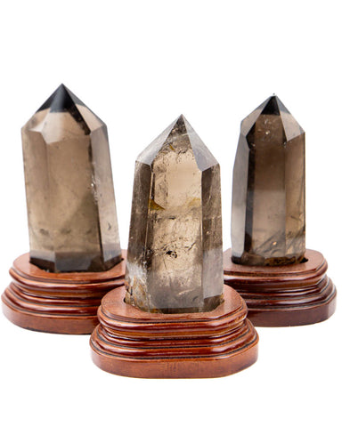 Polished Smoky Quartz on Base - 3 pcs (#226344)