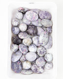 Polished Unicorn Stone - 35 pcs (#226653)