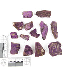 Rough Purpurite - 13 pcs (#225989)