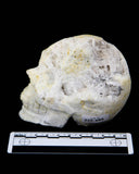 Quartz Cluster Skull - 1.41 lb (#225689)