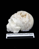 Quartz Cluster Skull - 1.86 lb (#225692)