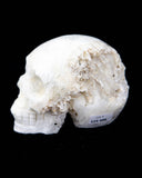 Quartz Cluster Skull - 2.74 lb (#225696)