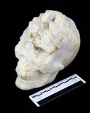 Quartz Cluster Skull - 4.91 lb (#225698)