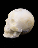 Quartz Cluster Skull Carving - 4.91 lb (#225929)