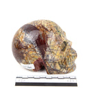 Red Creek Jasper Skull - 2.32 lb (#225701)