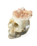 Red Tipped Amethyst Skull - 2.87 lb (#226672)