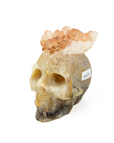 Red Tipped Amethyst Skull - 2.6 lb (#226673)