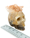 Red Tipped Amethyst Skull - 2.6 lb (#226673)
