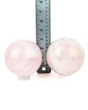 Rose Quartz Spheres - 2 pcs (#226133)