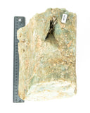 Extra Large Aquamarine Specimen - 31 lb (#225587)