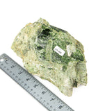 Rough Diopside Specimen - 7.18 lb (#225668)