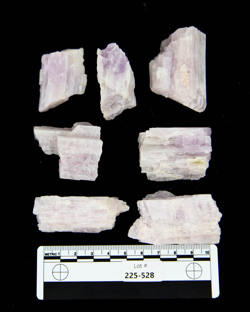 Rough Kunzite - 7 pcs (#225528)