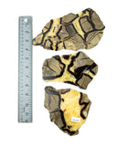 Septarian Slices - 3 pcs (#226678)