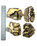 Septarian Slices - 4 pcs (#226679)