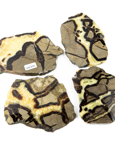 Septarian Slices - 4 pcs (#226679)